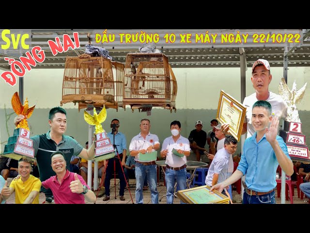Quái Thú Đối Đầu Hoà Giải 31 | Phách Đánh Bổi Gia Lai 46 Ở Chung Kết | Hội Thi Chào Mào CLB Đồng Nai