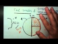 Fair Shares and 2 Player Divider / Selector