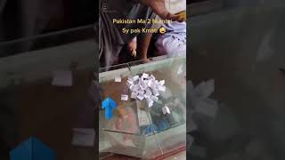 Stan Ma 2 Numbri Sy Pak. Kmati Ya Ap Khud Dlah Ly