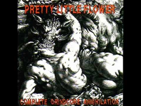 Complete Grindcore Annihilation artwork
