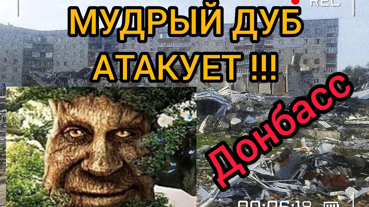 мудрый дуб атакует