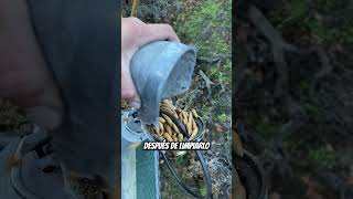 ¡Esta ardilla es multimillonaria! @Brinker_Billy #shorts