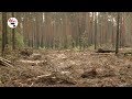 "Народный контроль" закопал чёрных лесорубов