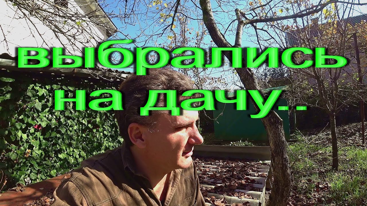 Тверь адлер на машине