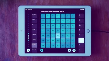 Jamming with NI Hypha and sqsl Latch