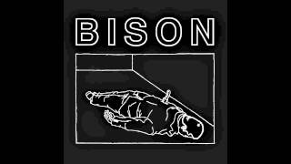 Bison &quot;Calm,Friendly and Euthymic&quot;