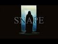 The tragedy of severus snape