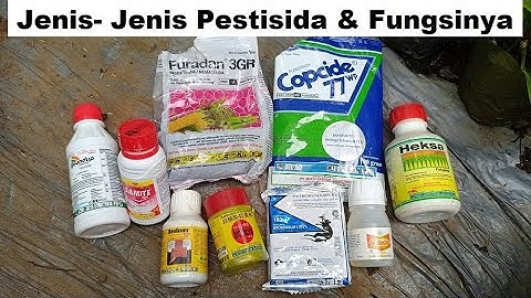 Jenis-Jenis Pestisida Fungsinya / Hama Sasarannya - Obat Hama / Pembasmi Hama
