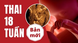 Thai 18 Tuần Phát Triển Như Thế Nào?