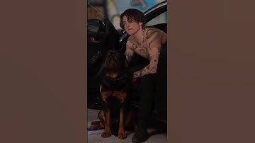 BTS jungkook pet dog jeom bam video #btsarmy #bts #jungkook #btsshorts #ytshorts #taehyung #jimin