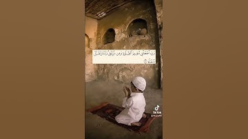سعد الغامدي - سورة ابراهيم