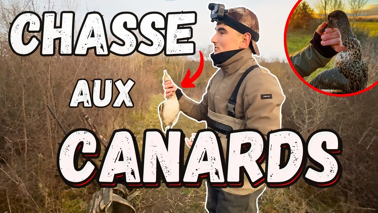 CHASSE du CANARD en hiver !! (vols de migrations)