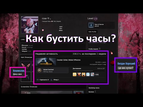 Откуда у меня так много акков с 30к часов? Занял топ по часам в CS:GO