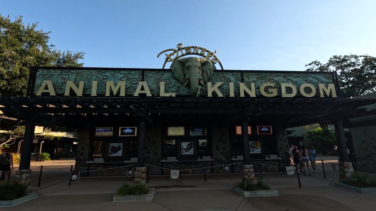 Navi' River Pandora - Animal Kingdom Disney World Ride