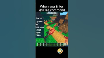 When you enter /kill  command❤️🤣😂 #minecraft #funny #laugh #theshuklasisters