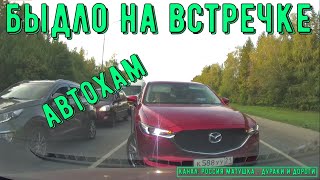 Быдло на встречке #160! Подборка на видеорегистратор!