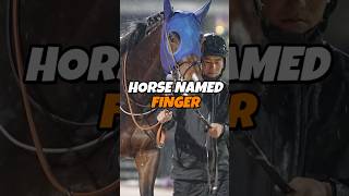 This Horse Is Called Finger
