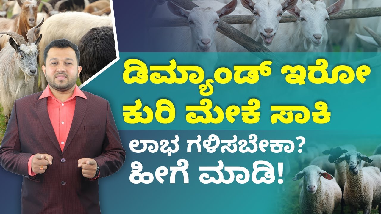 Goat and Sheep Farming in Kannada - Tips to Start Goat and Sheep Farming | Shesha Krishna