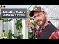 Adjusting Mature ZipGrow™ Towers for Optimum Growth