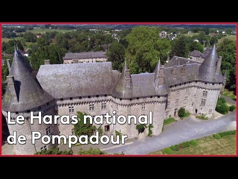 La Haras national de Pompadour