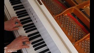 Danse Avec Les Doigts Exercice 7 Rythme 2 Lentes 2 Rapides Et Inverse