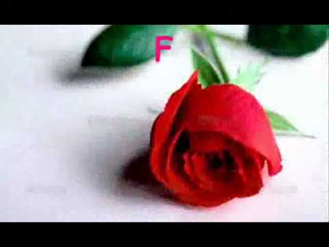 ตราบสิ้นลมหายใจ hbd aoo 2010.wmv