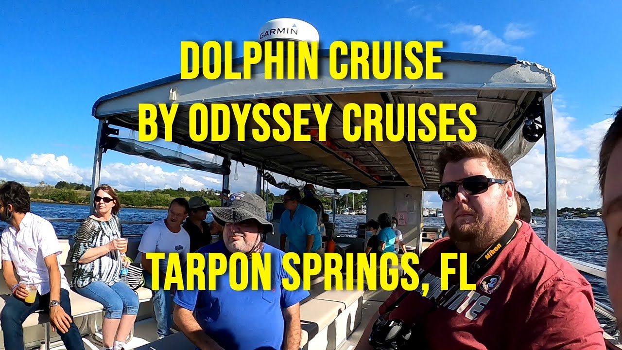 Dolphin Cruise by Odyssey Cruises Tarpon Springs, FL YouTube