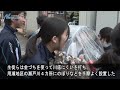 用瀬の瀬戸川で恒例「こいのぼり流し」　日本海新聞