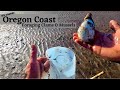 Foraging Oregon Coast Clams & Mussels For SPICY Seafood Ramen ~ CATCH COOK & CAMP