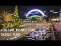 日本三大イルミネーション あしかがフラワーパーク 光の花の庭 2020 Ashikaga Flower Park Christmas Lights | Tochigi Japan | BMPCC6K
