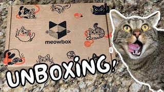 We Tried Meowbox (SO YOU DON’T HAVE TO!) | December 2022 Meowbox Unboxing + Review