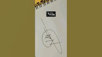 comment your name #art #autographs #signature #nila #youtube #ytshort #trending #name #calligraphy