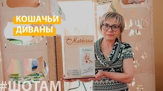 #ШоТам | Кошачье царство #ШоТам | Кошачье царство