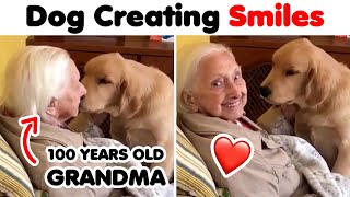 When Dogs Did Things And Melted Everyone&#39;s Hearts 🐶💖 ▶ 05