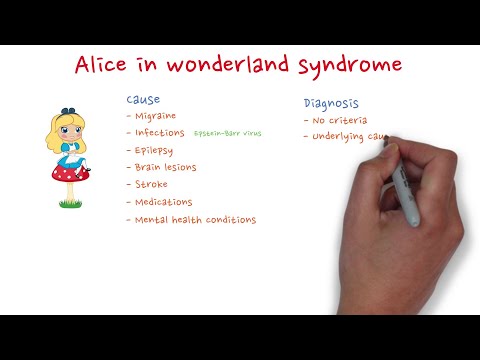 扇子　Sensu ALICE SYNDROME 扇子 Sensu ALICE SYNDROME The Curious Case of Alice in