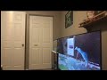 Matt Lovell -MINECAFT