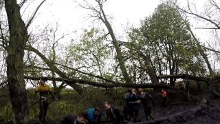 The Wolf Run Winter 2014 Stanford Hall