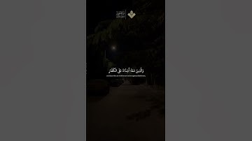 محمد رسول الله |من سورة الفتح | الشيخ #المنشاوي