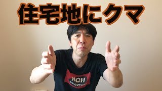 住宅地にクマ