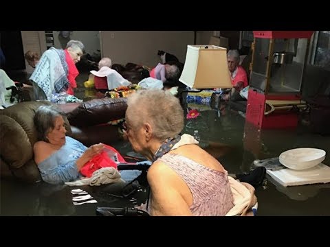 וִידֵאוֹ: הוריקן הארווי: מאמצי הצלת בעלי חיים בעיצומם בטקסס
