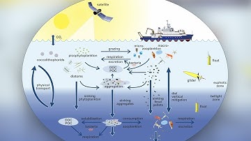 EXPORTS: Export Processes in the Ocean from RemoTe Sensing