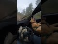 Cat Rally Driver vs Panicking Dog Passenger