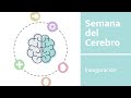 Conferencia: Ojos que no ven, cerebro que no miente.