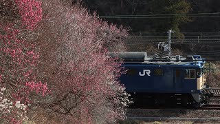 EF64 1032 単機回送