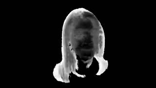 Synctalk Process Output Depthdemo2