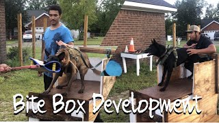 Building Good Bite Development in the Bite Box