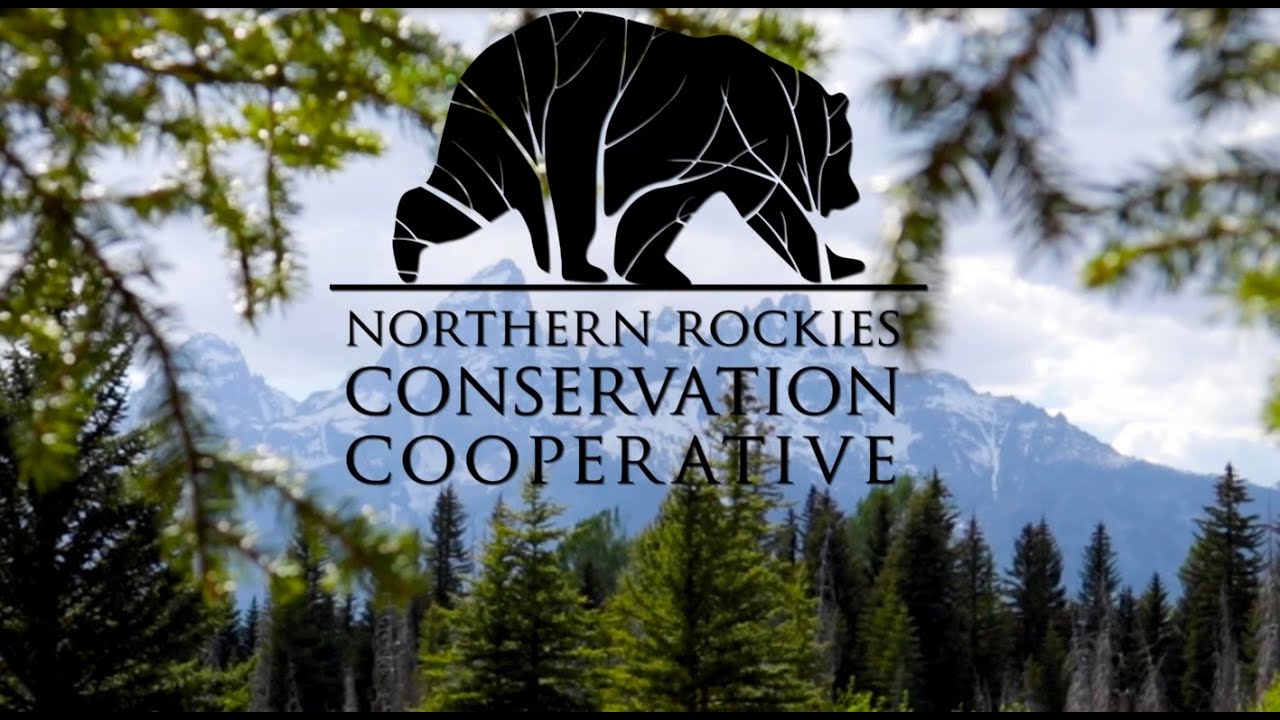 Northern Rockies Conservation Cooperative: Conservation for the Common Good