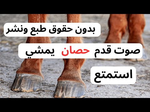 صوت حوافر واقدام الخيل خطوات الخيل للمونتاج 2022 
