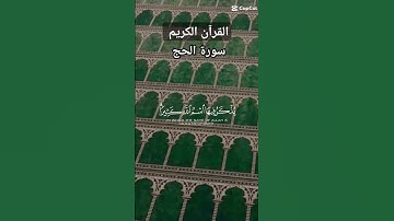 القرآن الكريم{سورة الحج } #quran #maroc #like #اكسبلور #دعاء  #ياسر_الدوسري @Carpet_hamdoune