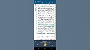 سورة البقرة اية (٢٠٨)